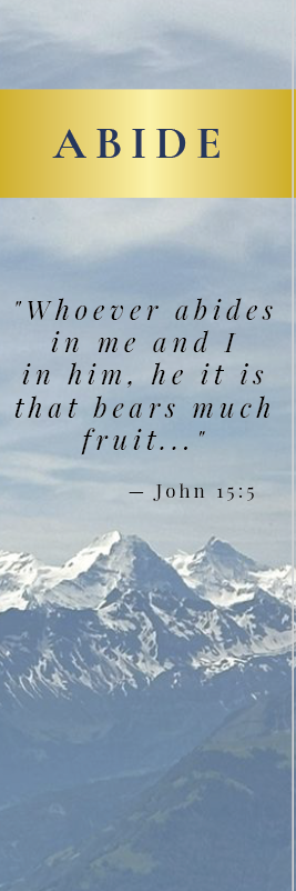 Rooted Scripture Printable Bookmarks - Set of 4 Digital Downloads