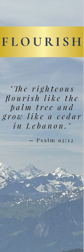 Rooted Scripture Printable Bookmarks - Set of 4 Digital Downloads